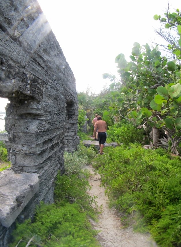The thorny trail in front of the ruined outbuildings. -  Photo by Veronica Morriss  © 2012 the Warwick Project